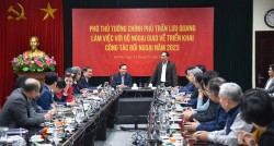 Bộ trưởng Ngoại giao Bùi Thanh Sơn báo cáo Phó Thủ tướng Trần Lưu Quang kết quả thực hiện các nhiệm vụ đối ngoại năm 2022