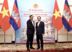 Bộ trưởng Ngoại giao Bùi Thanh Sơn đón Phó Thủ tướng, Bộ trưởng Ngoại giao và Hợp tác quốc tế Campuchia Prak Sokhonn