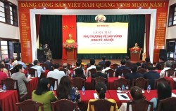 Hình ảnh tại Lễ ra mắt