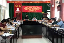 Đồng chí Bế Lan Phương, Phó trưởng Ban Thường trực Ban Tuyên giáo Tỉnh uỷ phát biểu kết luận
