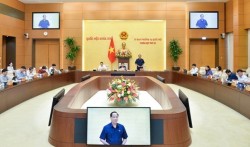 Toàn cảnh Phiên họp