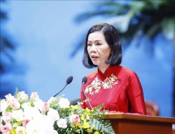 Phó Chủ tịch Hội Liên hiệp Phụ nữ Việt Nam Nguyễn Thị Minh Hương.
