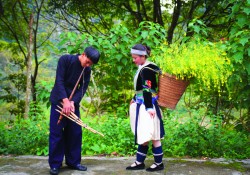 Cây khèn trở thành biểu tượng văn hóa trong đời sống của người Mông