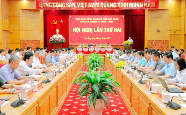 Hội nghị lần thứ hai Ban Chấp hành Đảng bộ tỉnh khóa XX, nhiệm kỳ 2025 - 2030