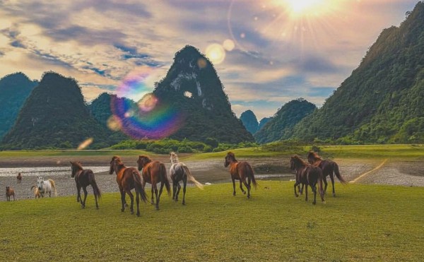 Ngựa trong tâm thức của người Tày, Nùng ở Cao Bằng