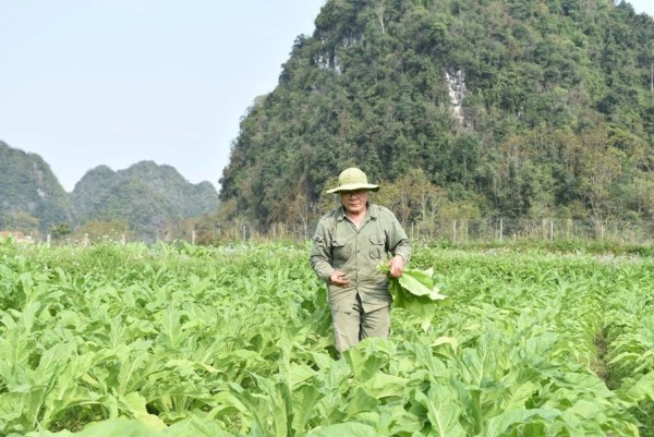 Tấm gương hội viên Hội Người cao tuổi xã Minh Tâm học và làm theo Bác