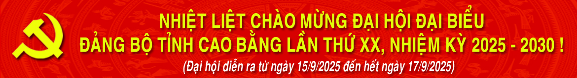 Banner DH Dang bo tinh CB XX