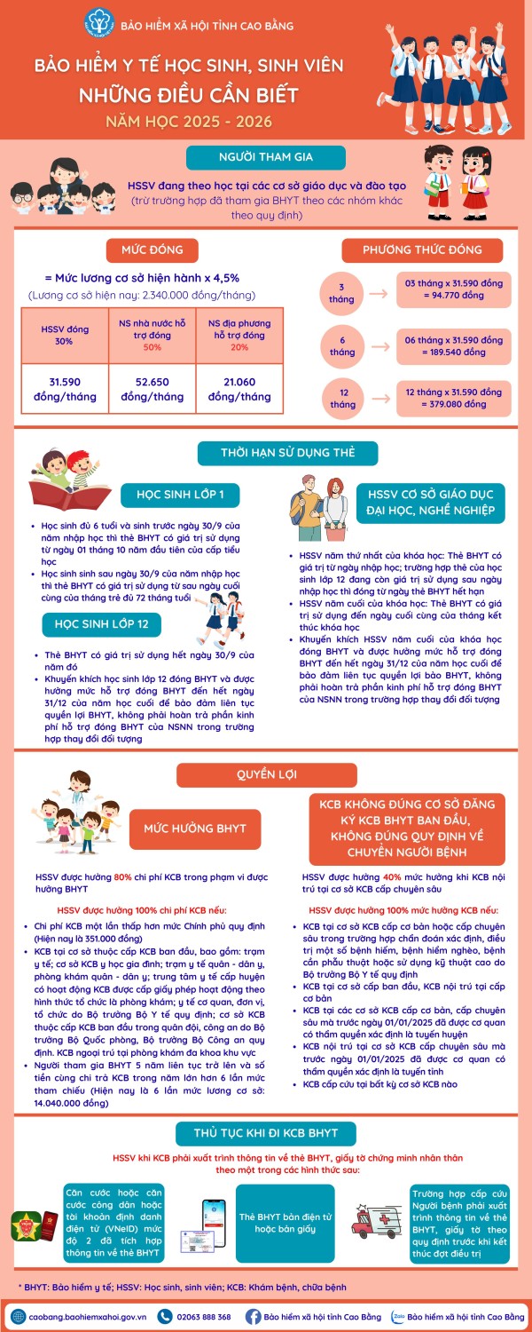Infographic Dữ liệu Bệnh Mãn tính Rõ ràng và Đơn giản Trắng Xanh dương (2)