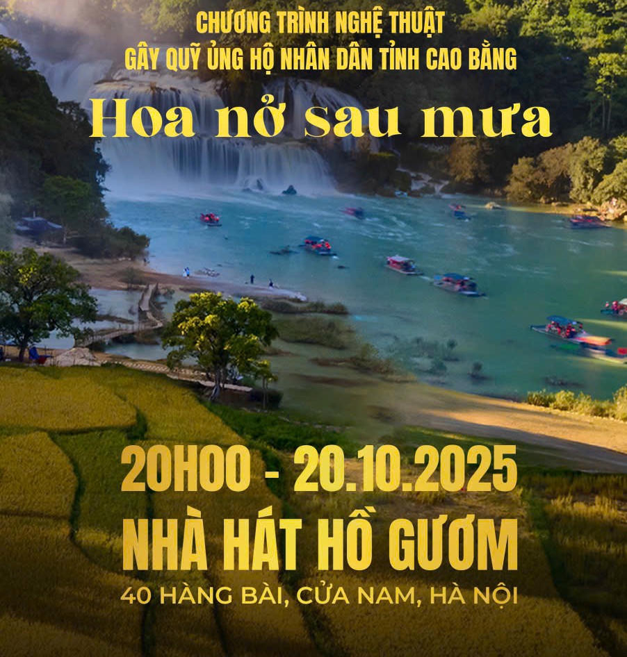 146260 hoa no 13465515