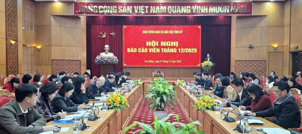 150478 a115 11462001