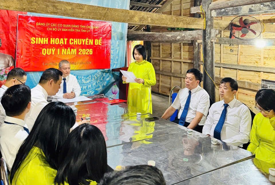 2738922615011718811 (1)